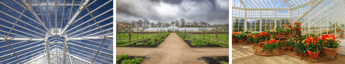 A series of three photos showing the Glasshouse restoration